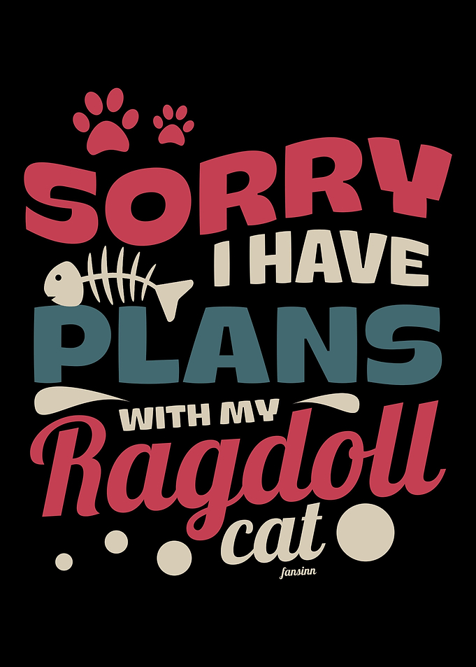RagdollCat cat breed sayi