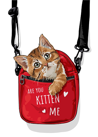 My Cat