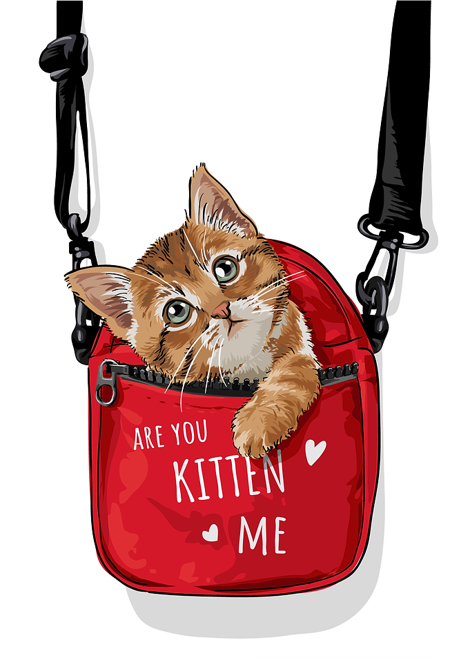 My Cat
