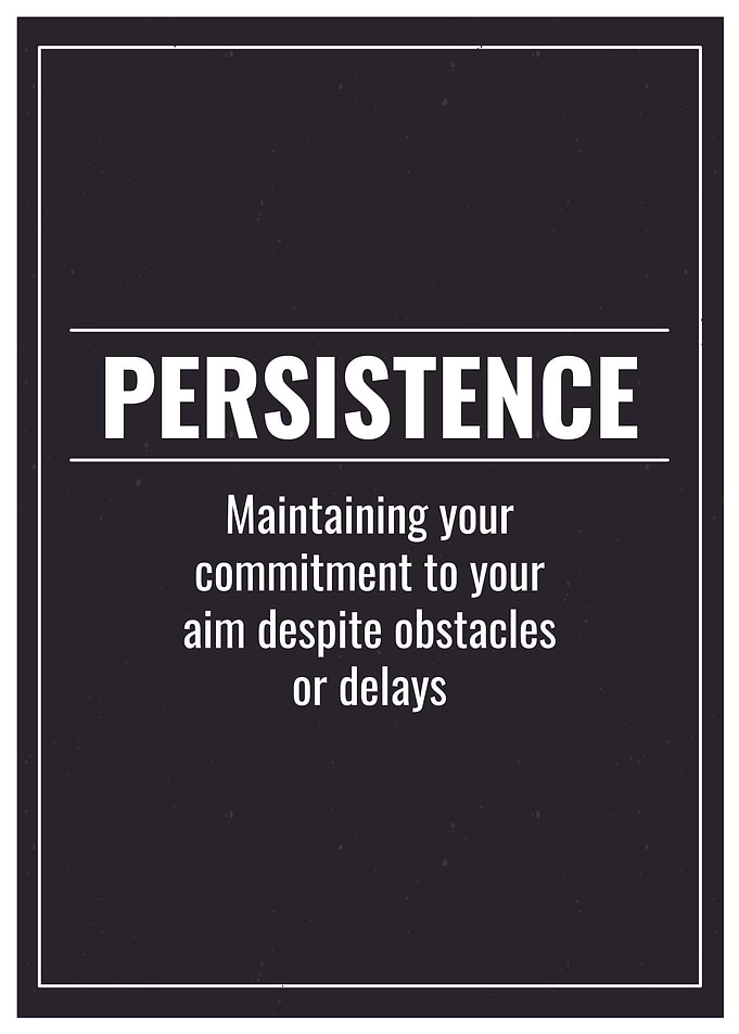 Persistence Definition