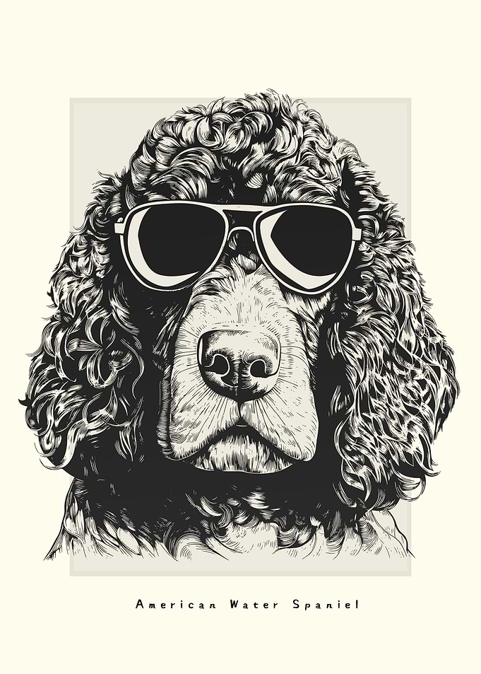American Water Spaniel