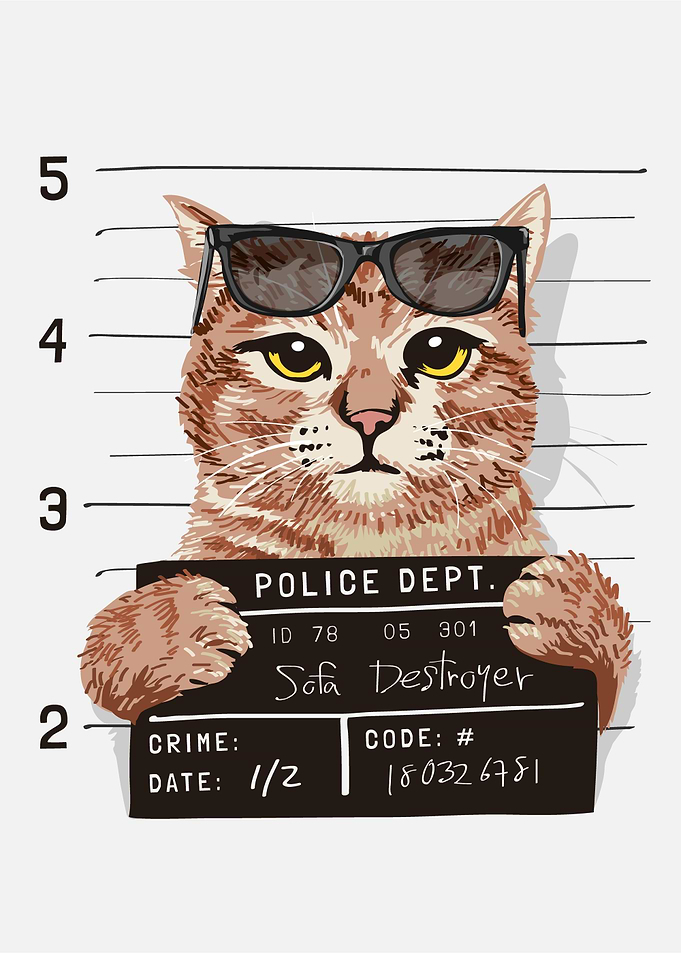Cute Cat Meme