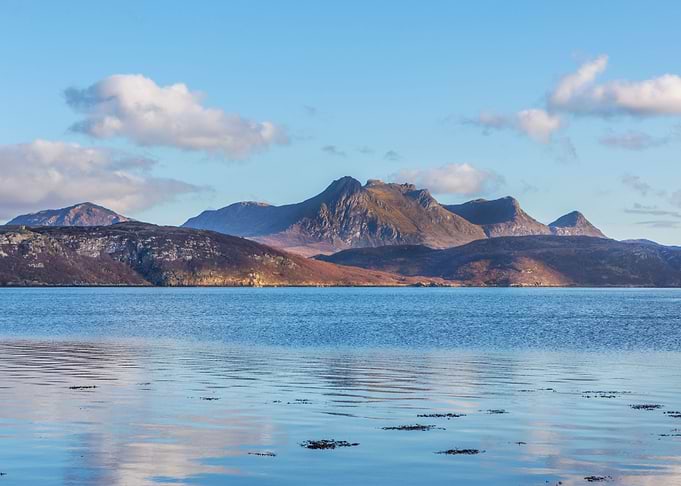 Ben Loyal