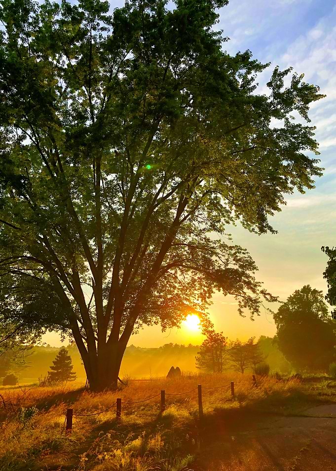 Sunrise