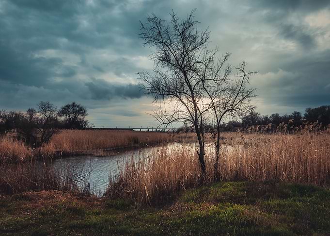April evening