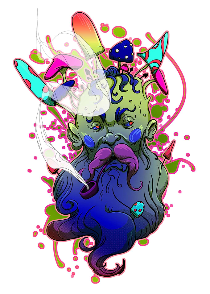 Mushroom Wizard