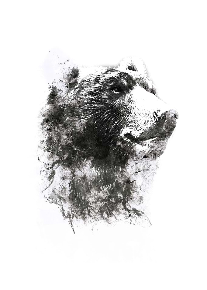 bear painting