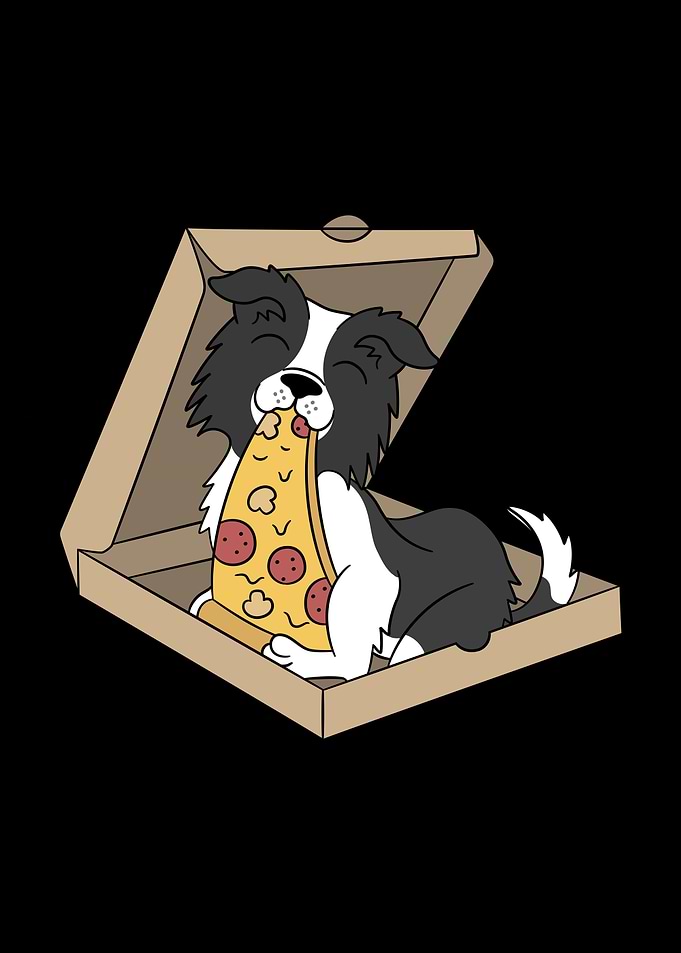 Border Collie Pizza