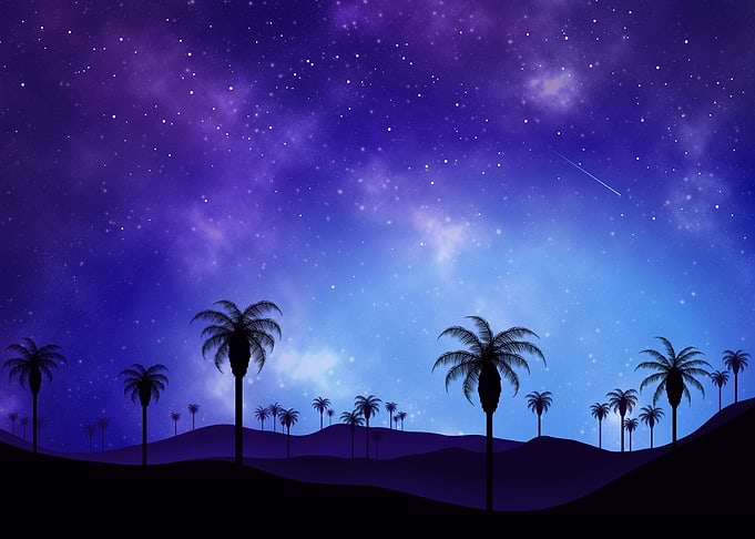 Palm Springs at Night