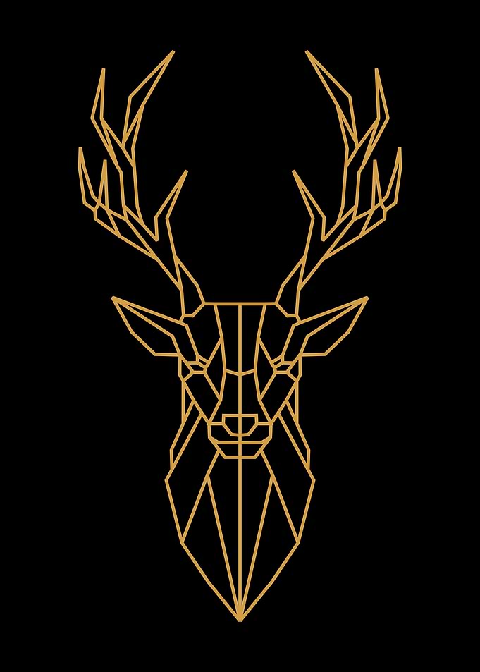 Animal Geometric Art