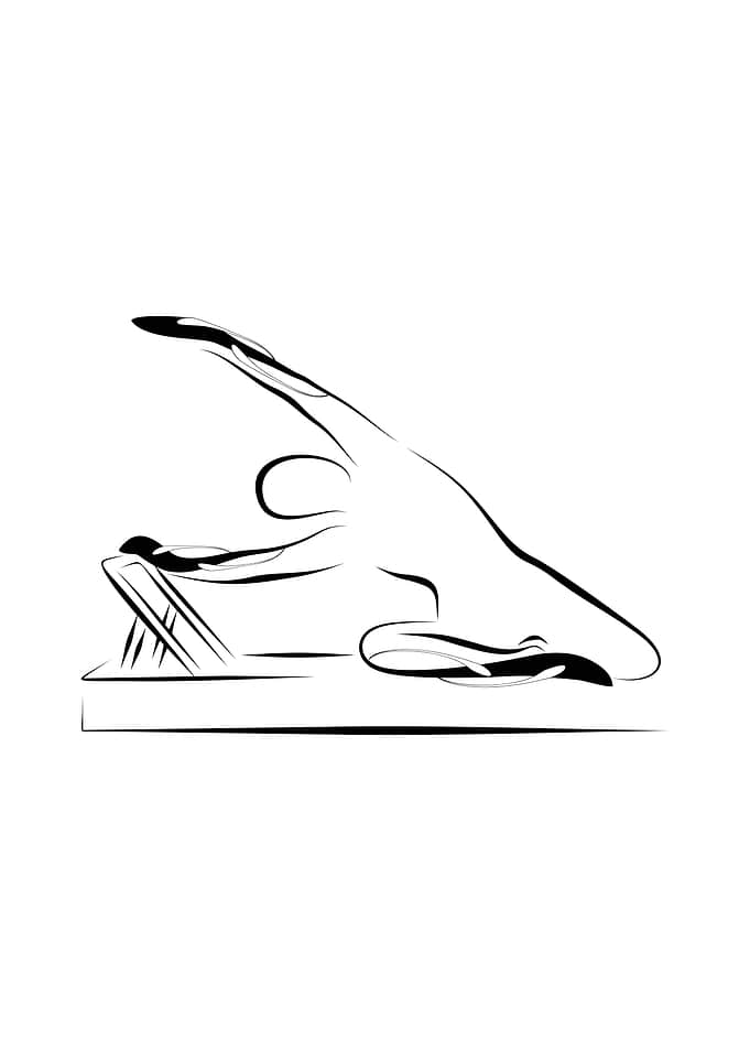Mermaid on the reformer