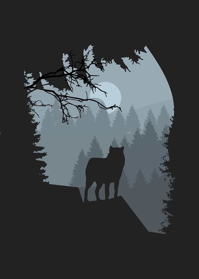 wolf silhouette 9