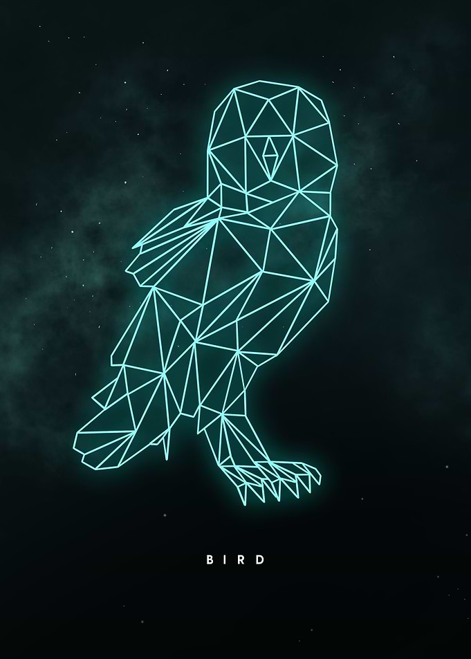 Bird Star