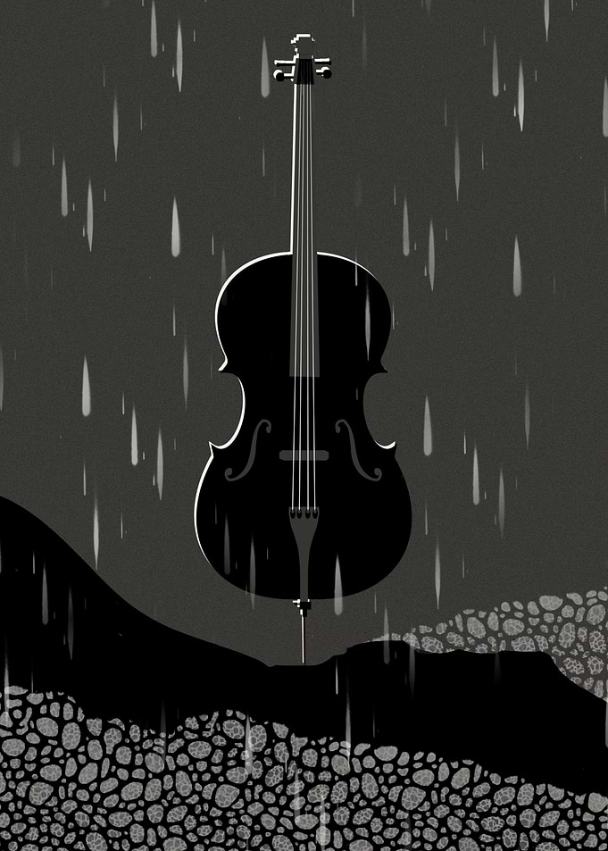 The Cello