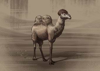 Giant Camel