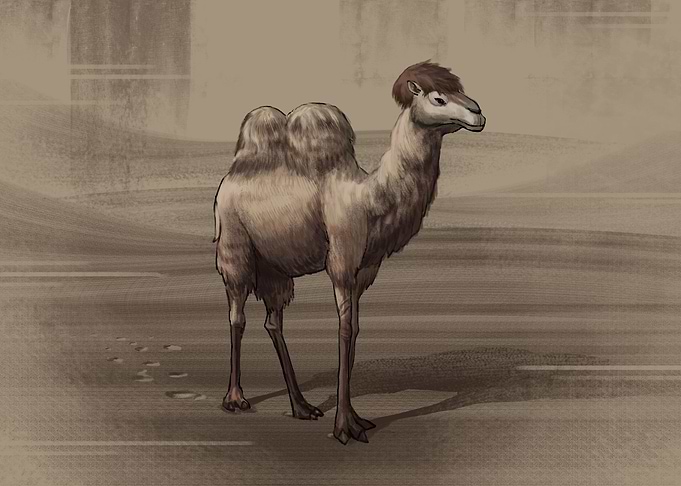Giant Camel