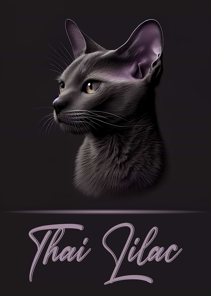 Elegant Thai Lilac