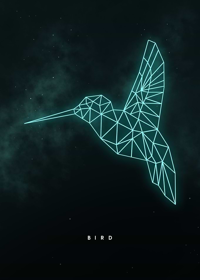 Bird Star