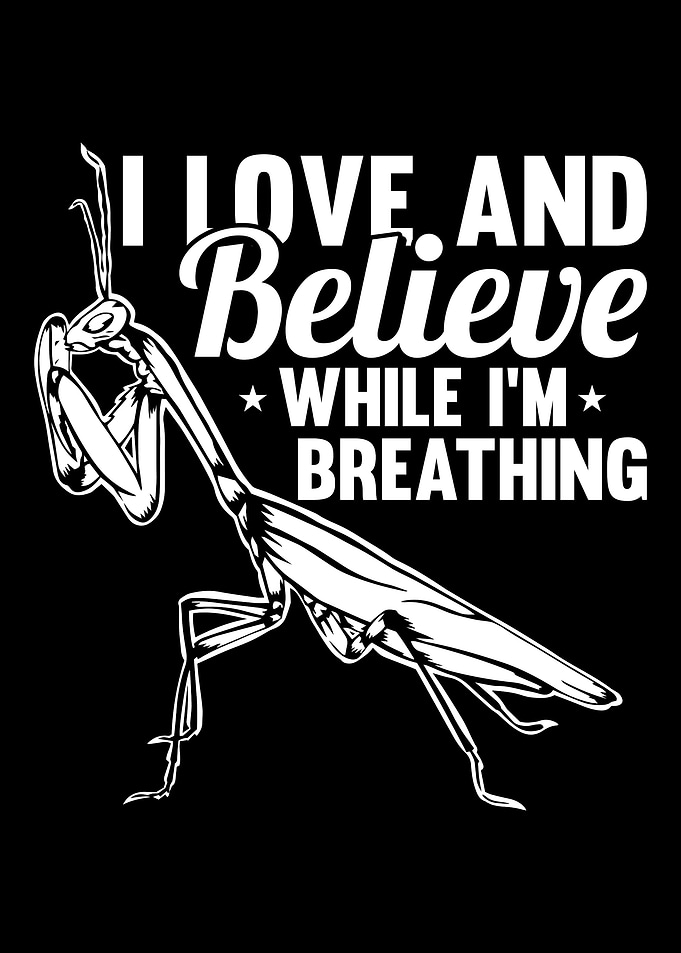 Praying Mantis Insect