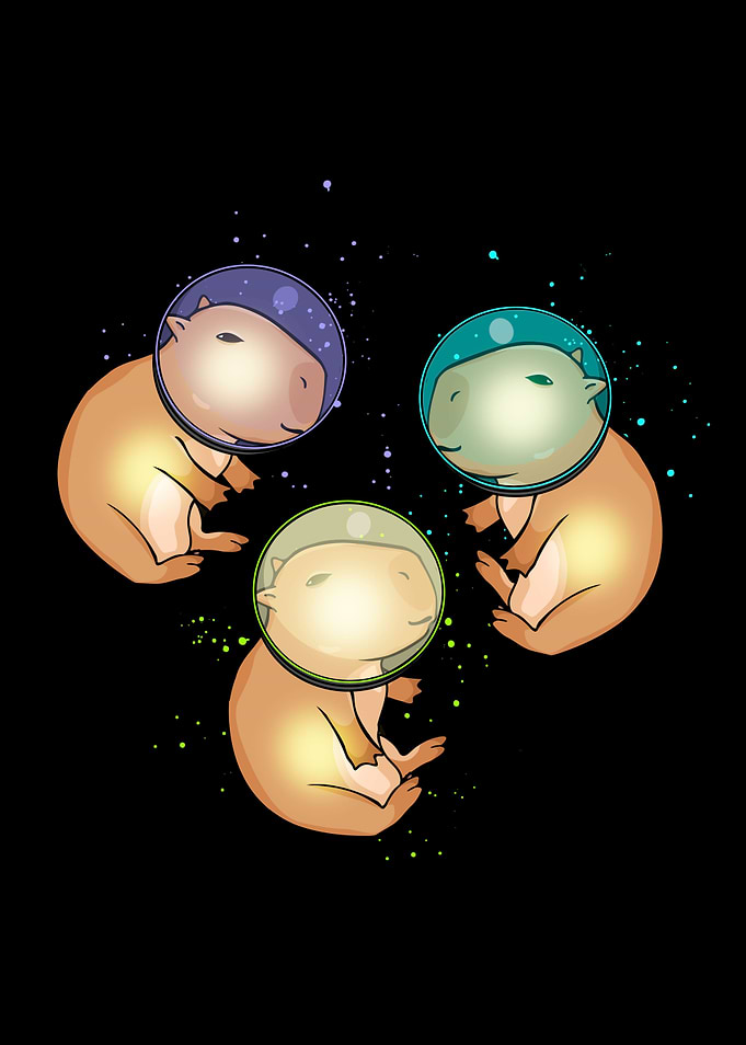 Astronaut Gift Capybara