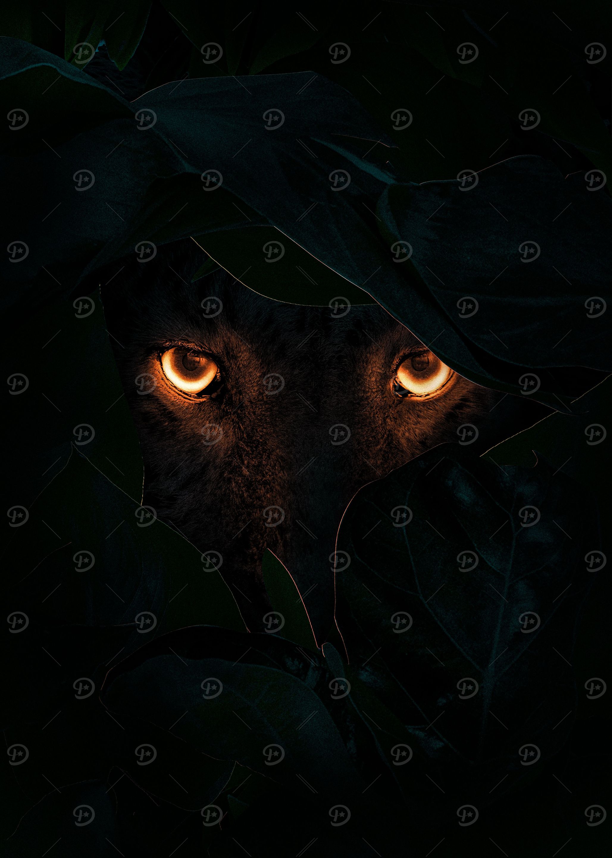 Night Vision