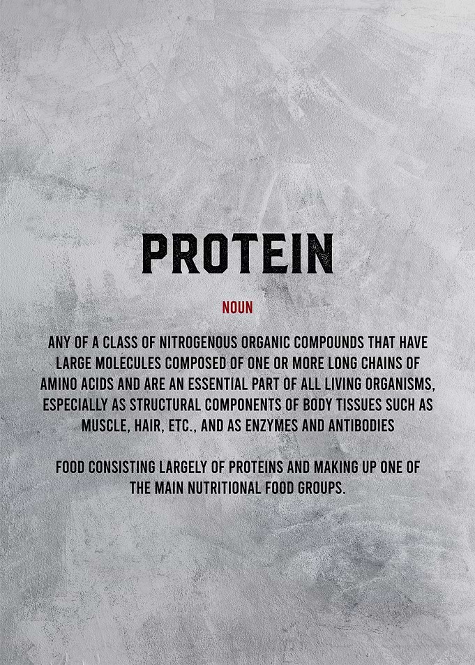 protein definition textart