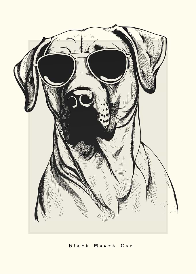 Black Mouth Cur Sketch
