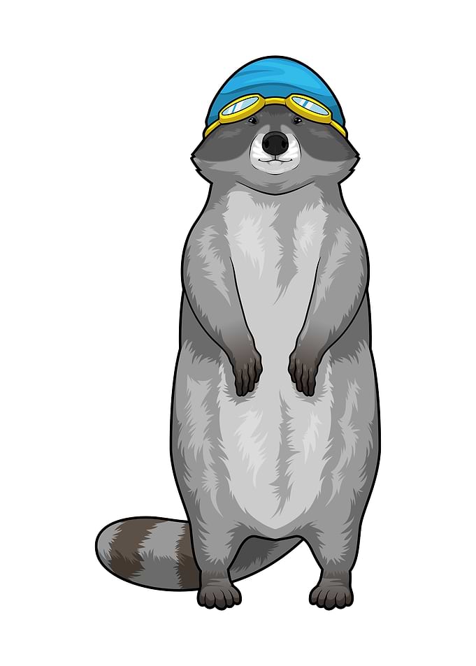 Racoon Swimming