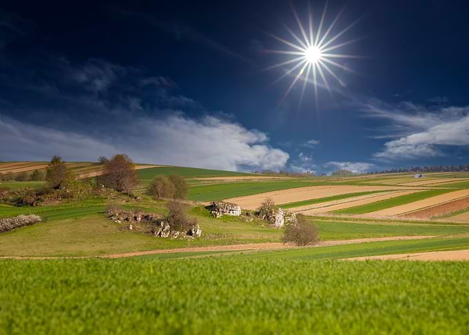 Spring landscape