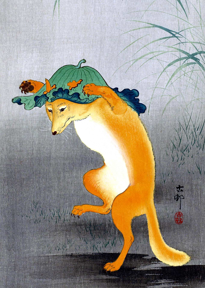 Dancing Fox