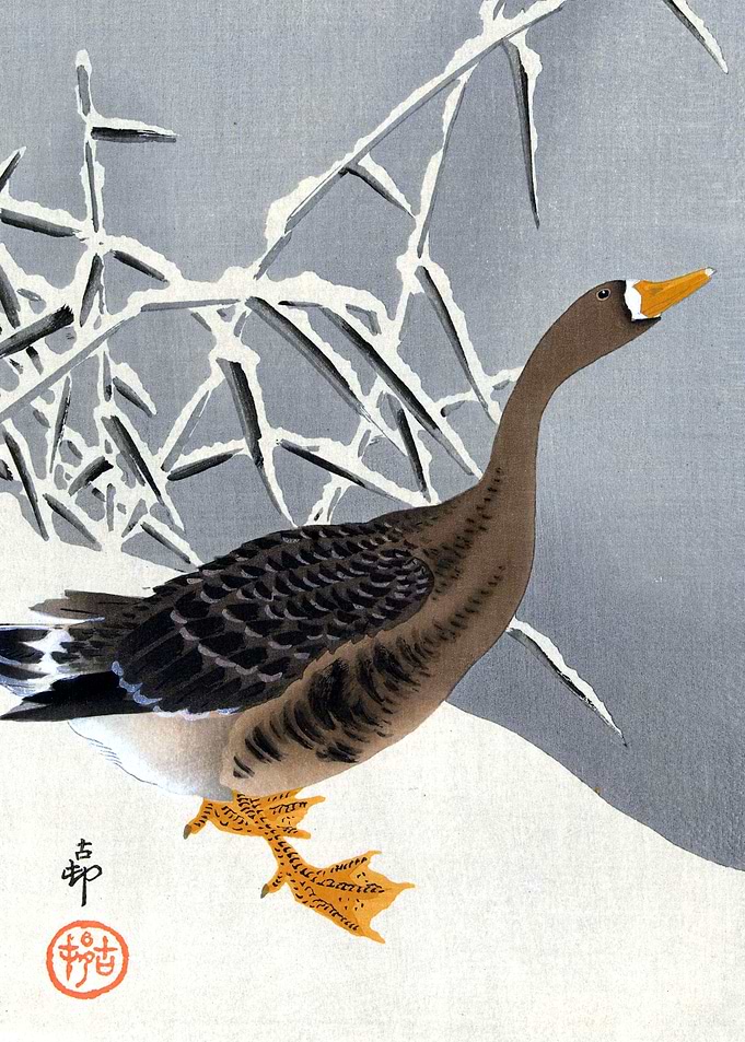 Goose in the Snow