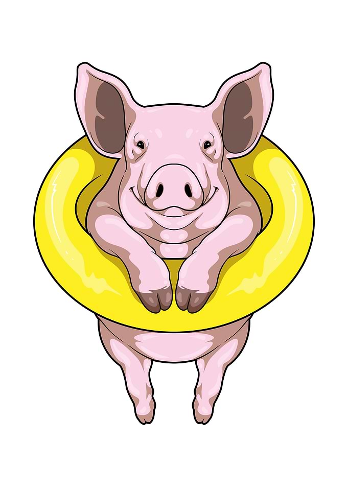 Pig Swimming Lifebuoy