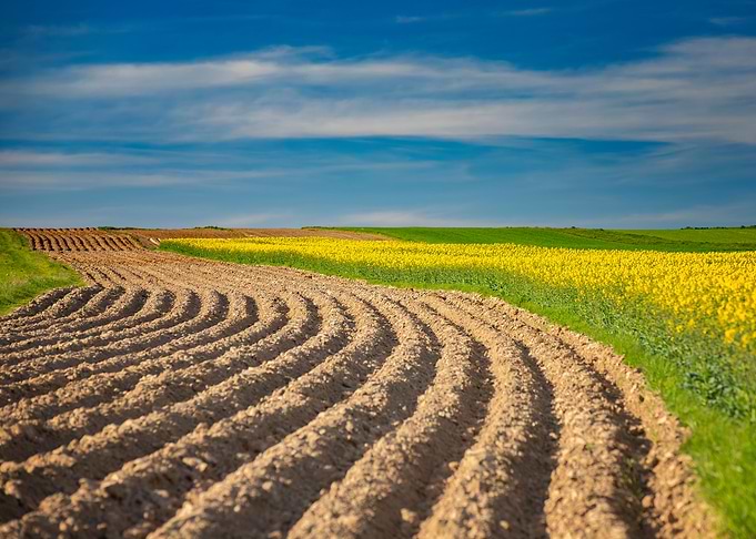 Picturesque spring scenery