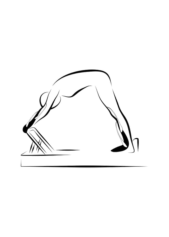 Elephant on the reformer