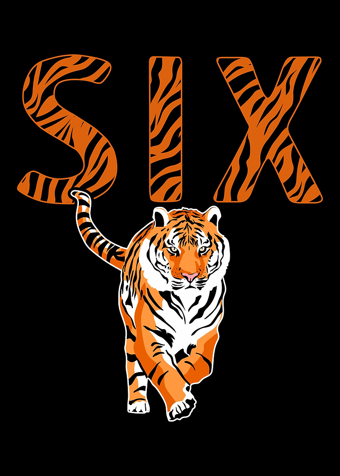 6th Birthday Tiger