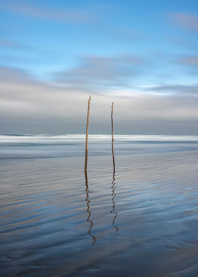Sticks in the sand