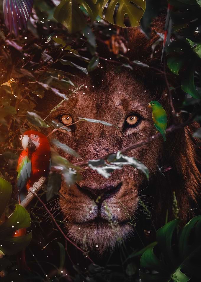 Lion hidden in the leaves