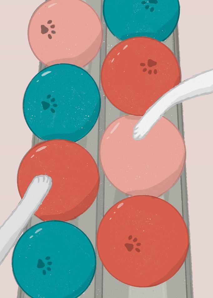 Cat paws
