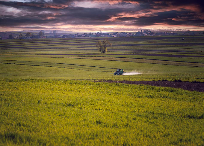 Spring fields, stormy sky
