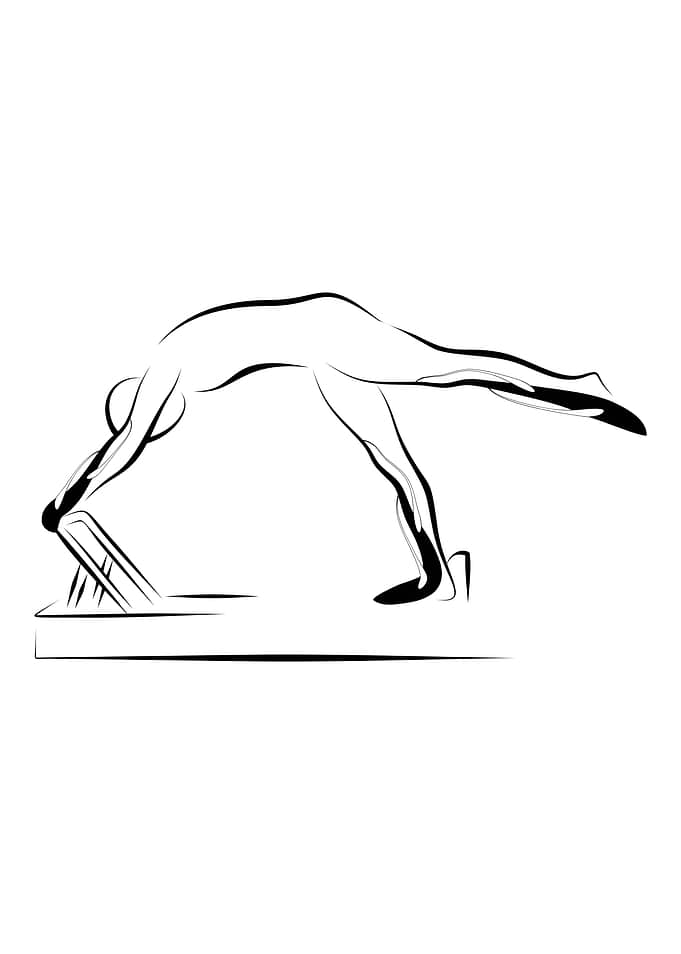 Elephant on the reformer