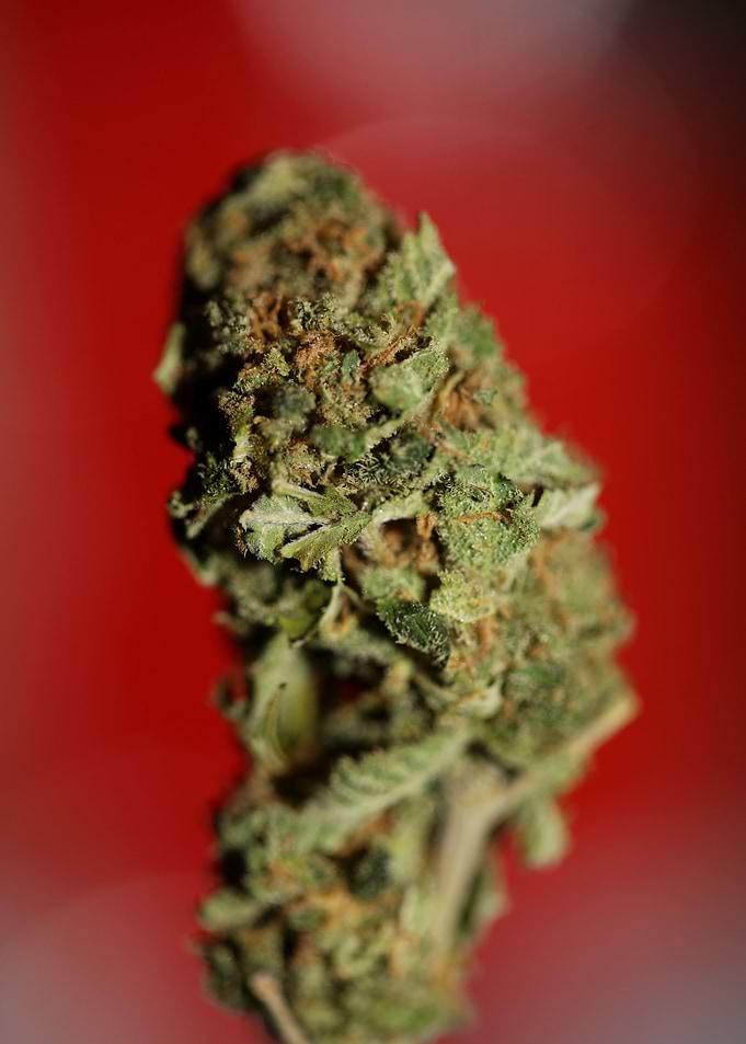 Cannabis medical bud macro