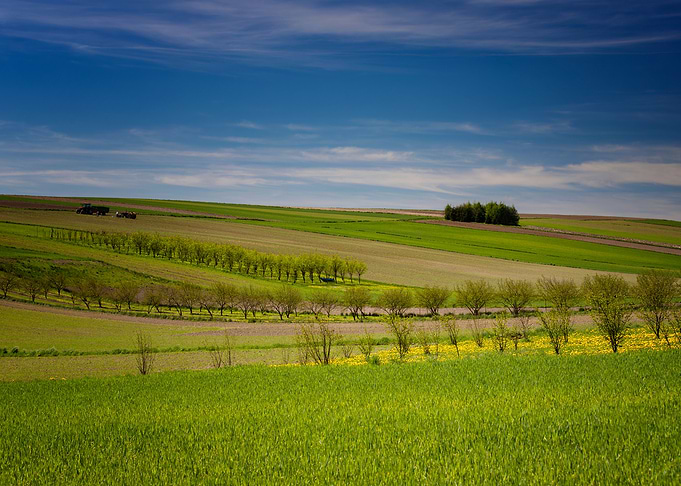 Picturesque spring scenery