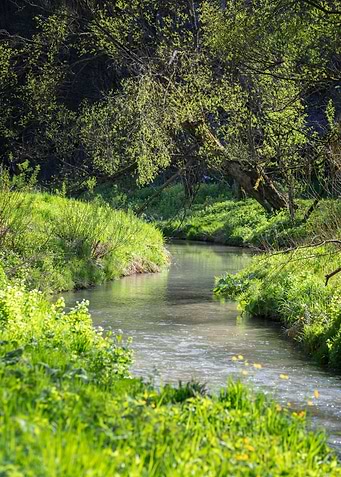 Spring stream, travel