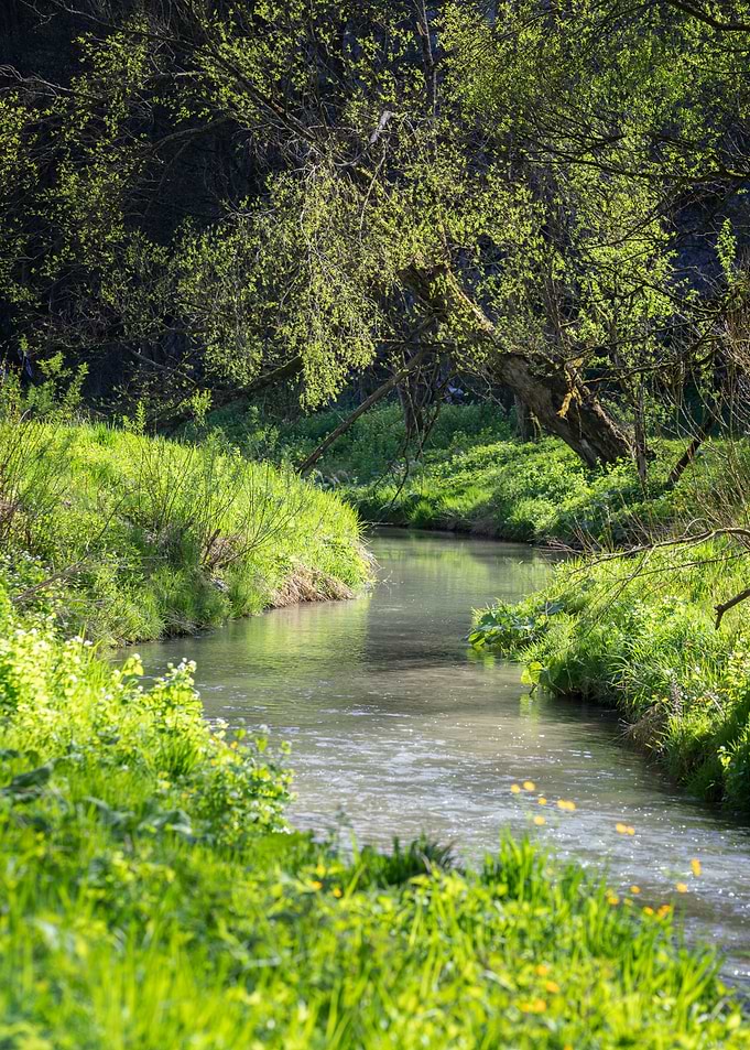 Spring stream, travel