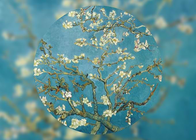 Almond Blossom Abstract