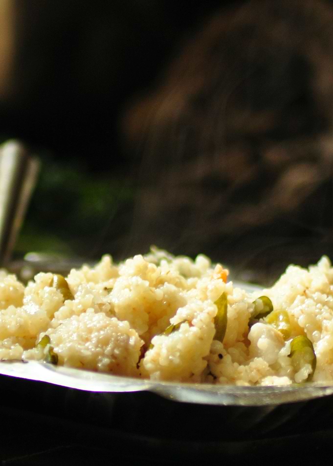 Meal v02