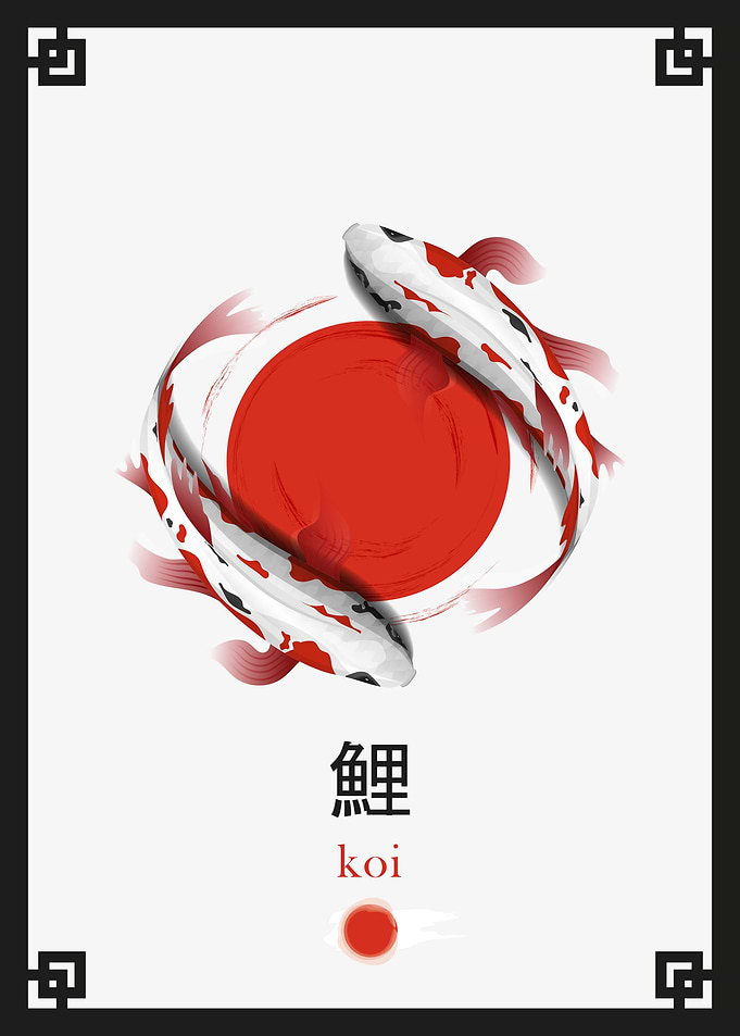 Koi fish Doing Yin yang