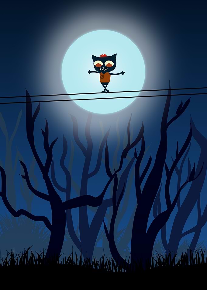 Night In The Woods