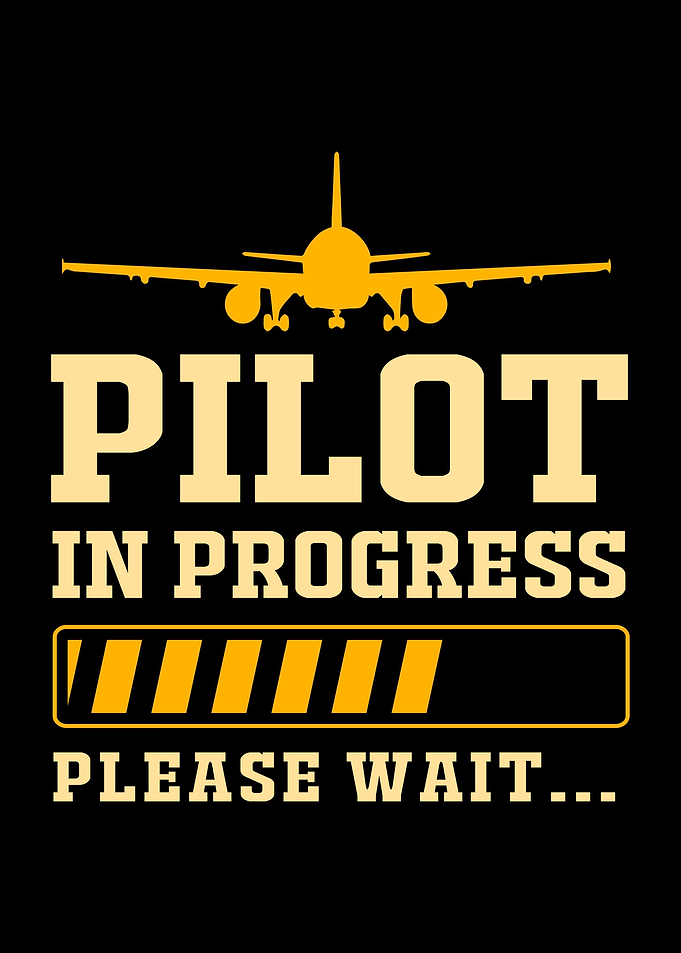 Pilot In Progress