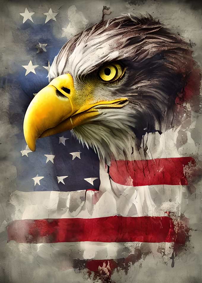 Vintage Eagle USA Flag
